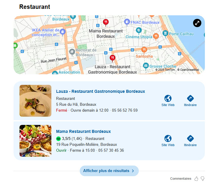 Liste des résultats locaux Bing Places