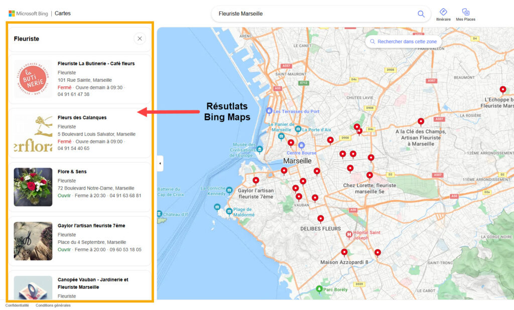 Résultats locaux Bing Maps