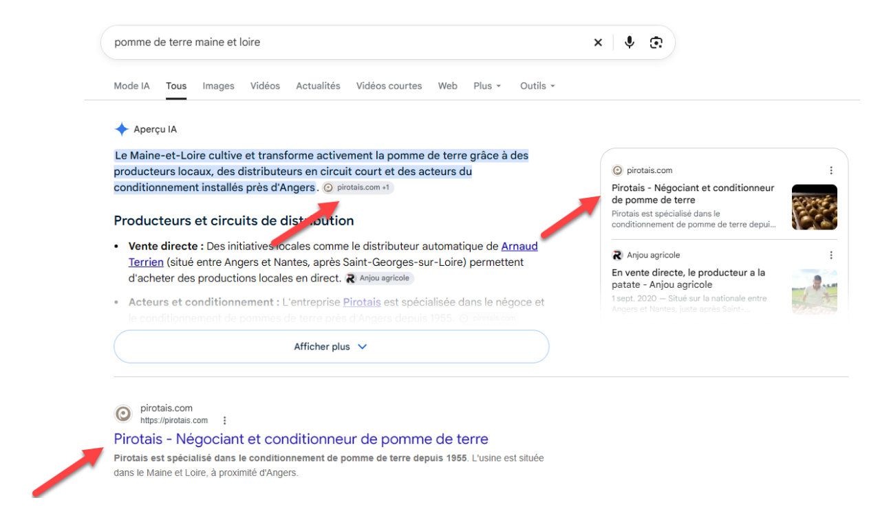 Positionnement SEO pirotais